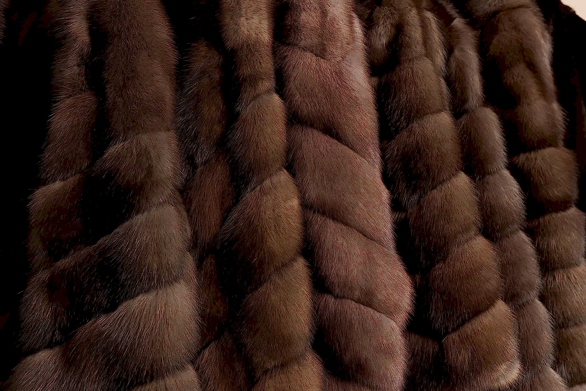 Коллекция соболя 2025-2026